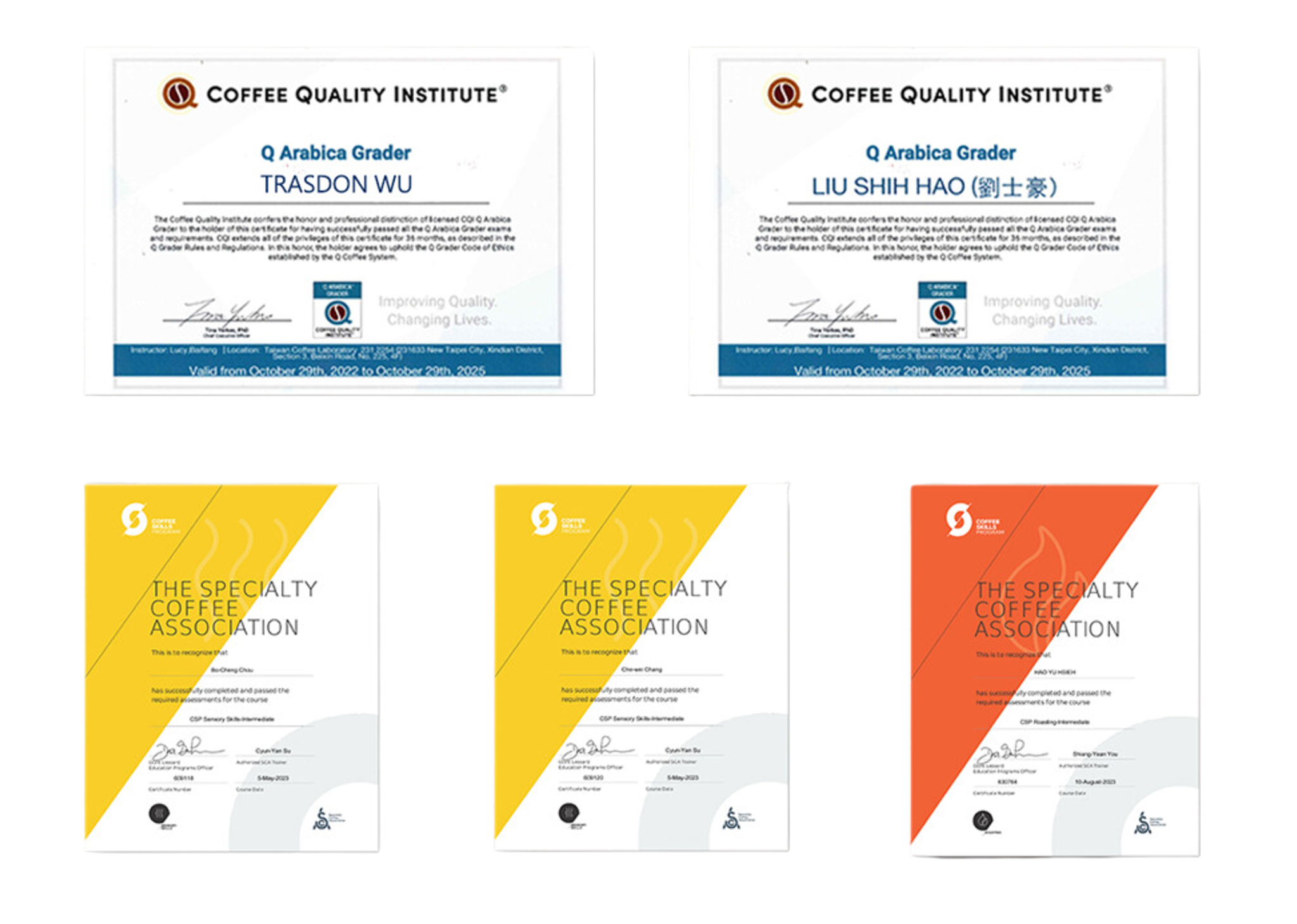 Q Arabica Grader and Specialty Coffee Association certificates
