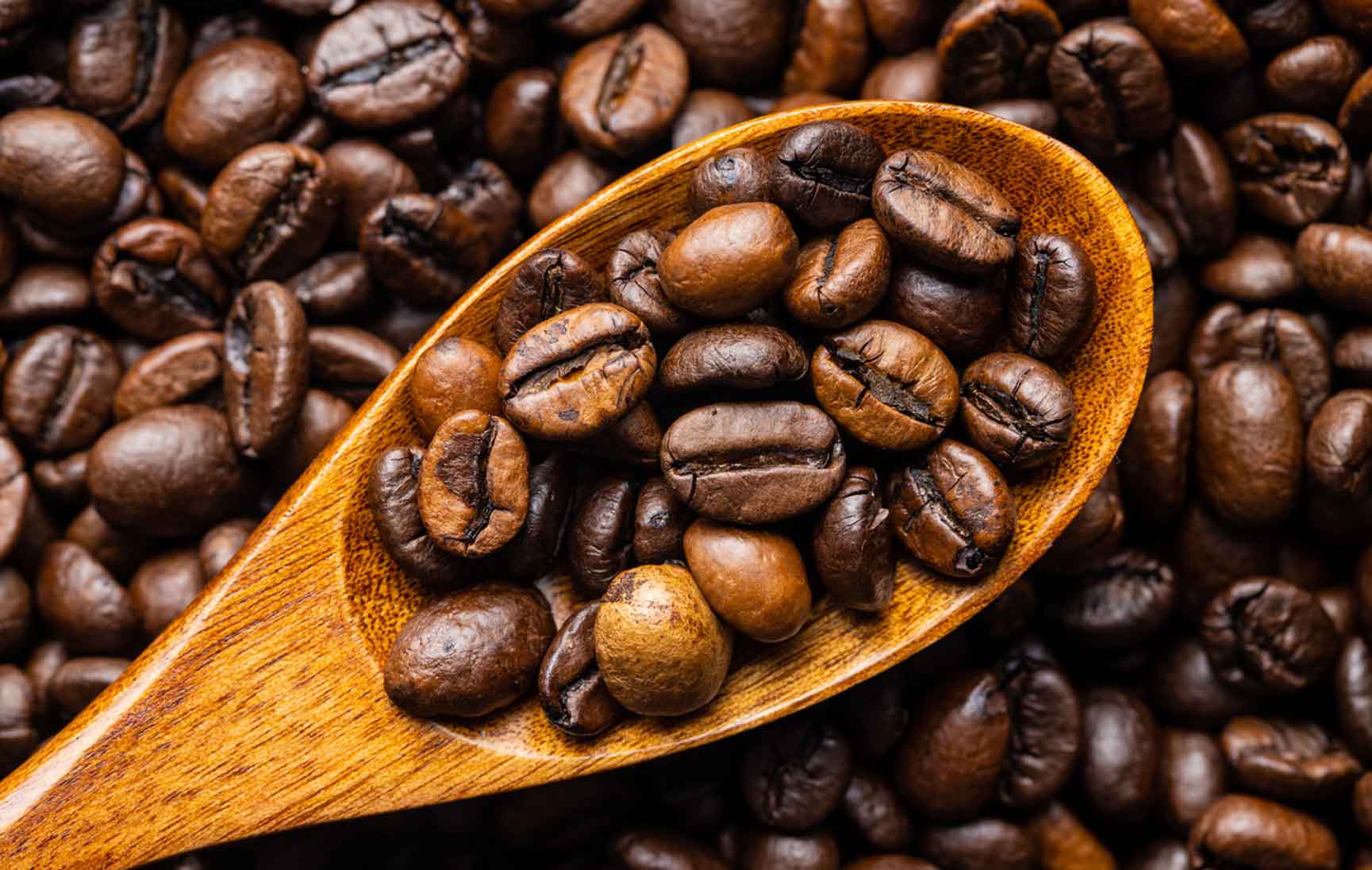 Freshly roasted coffee beans heaped on a wooden spoon